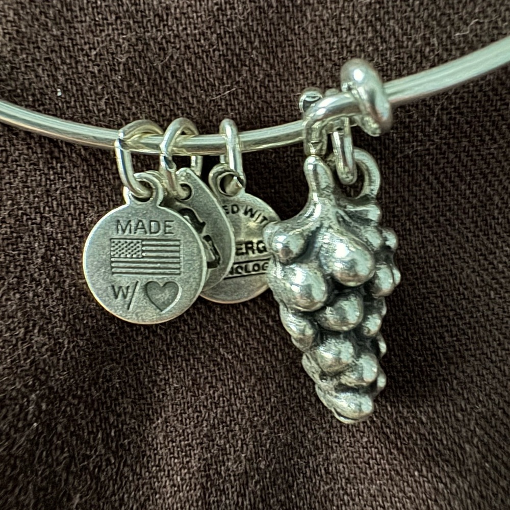 Alex and Ani Silver Charm Bracelet GRAPES